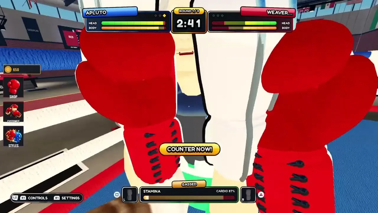 First Person Boxing Wiki — Community gameplay
